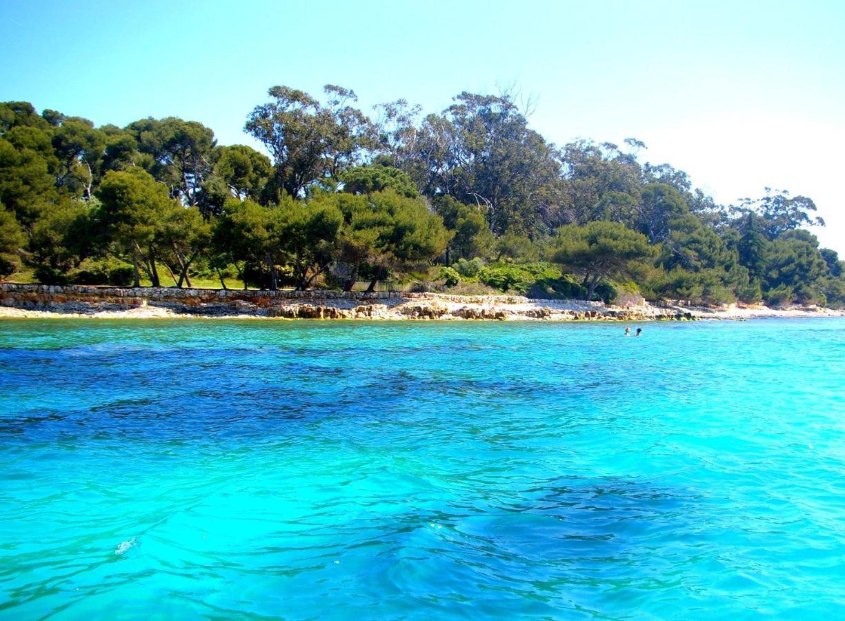 Magnifique "Gite De La Garoupe" Au Cap D'Antibes A 300M Des Plages 외부 사진